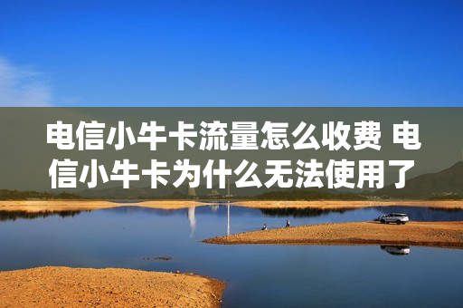 电信小牛卡流量怎么收费 电信小牛卡为什么无法使用了
