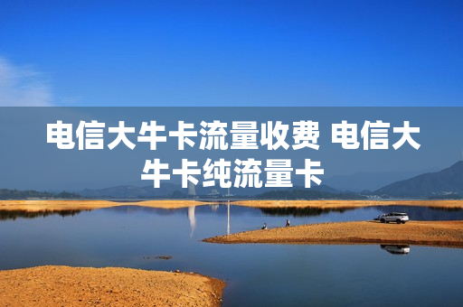 电信大牛卡流量收费 电信大牛卡纯流量卡