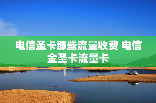 电信圣卡那些流量收费 电信金圣卡流量卡