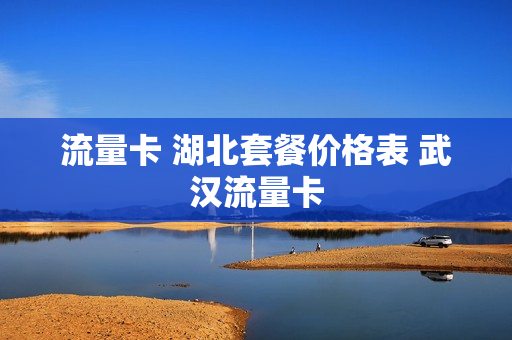 流量卡 湖北套餐价格表 武汉流量卡