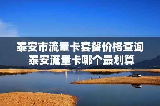 泰安市流量卡套餐价格查询 泰安流量卡哪个最划算