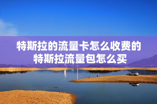 特斯拉的流量卡怎么收费的 特斯拉流量包怎么买