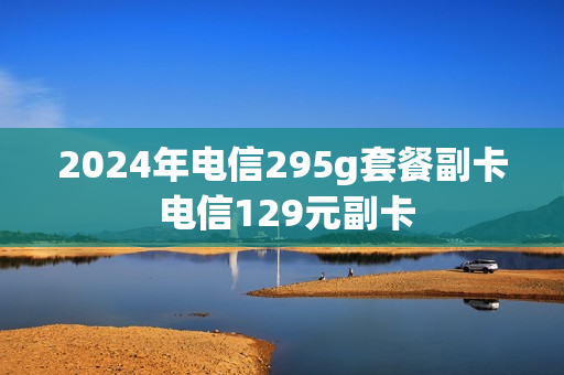 2024年电信295g套餐副卡 电信129元副卡