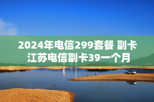 2024年电信299套餐 副卡 江苏电信副卡39一个月