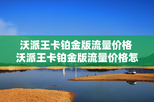 沃派王卡铂金版流量价格 沃派王卡铂金版流量价格怎么样