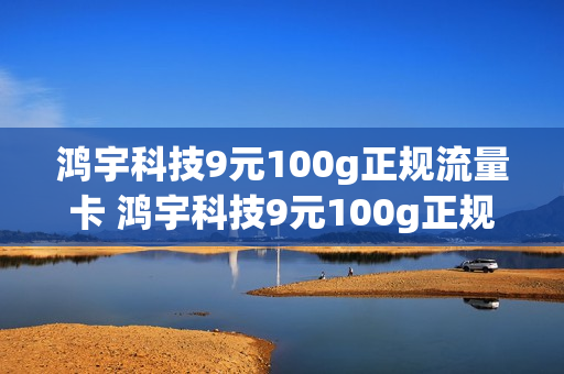 鸿宇科技9元100g正规流量卡 鸿宇科技9元100g正规流量卡怎么样