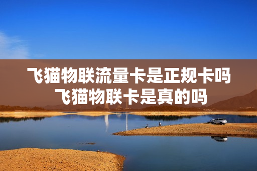 飞猫物联流量卡是正规卡吗 飞猫物联卡是真的吗