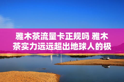 雅木茶流量卡正规吗 雅木茶实力远远超出地球人的极限
