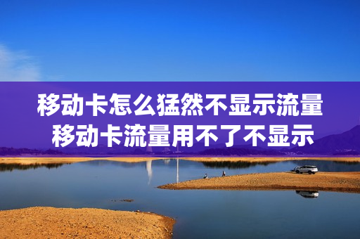 移动卡怎么猛然不显示流量 移动卡流量用不了不显示4g