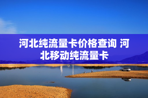 河北纯流量卡价格查询 河北移动纯流量卡
