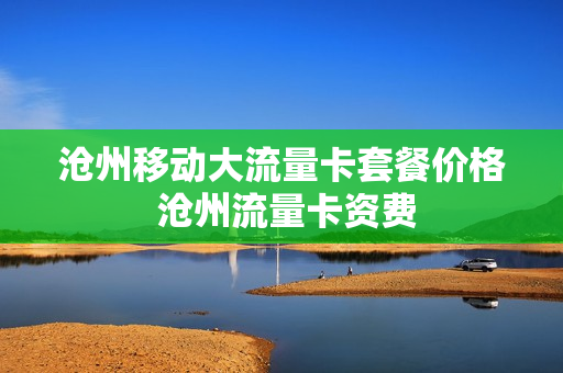 沧州移动大流量卡套餐价格 沧州流量卡资费