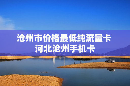 沧州市价格最低纯流量卡 河北沧州手机卡