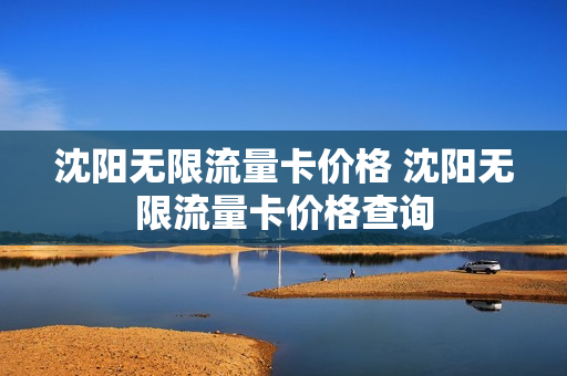 沈阳无限流量卡价格 沈阳无限流量卡价格查询