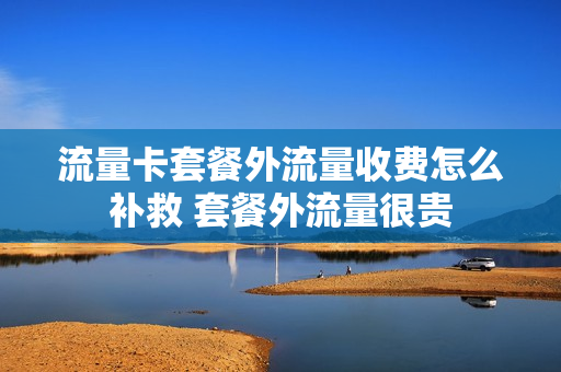 流量卡套餐外流量收费怎么补救 套餐外流量很贵