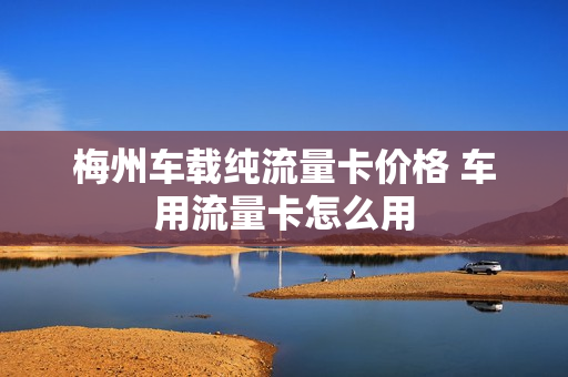 梅州车载纯流量卡价格 车用流量卡怎么用