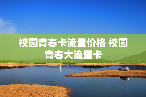校园青春卡流量价格 校园青春大流量卡