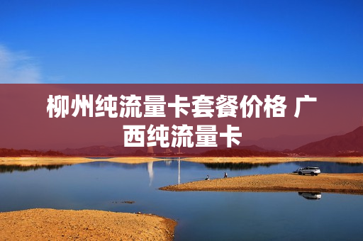 柳州纯流量卡套餐价格 广西纯流量卡