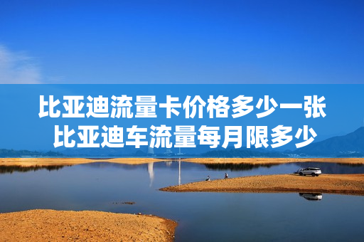 比亚迪流量卡价格多少一张 比亚迪车流量每月限多少
