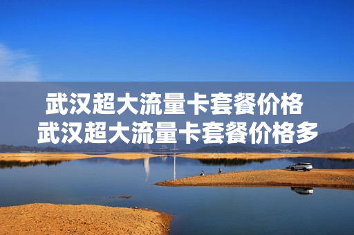武汉超大流量卡套餐价格 武汉超大流量卡套餐价格多少