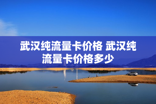 武汉纯流量卡价格 武汉纯流量卡价格多少
