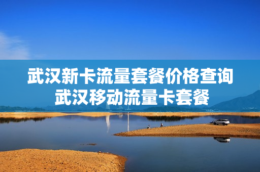 武汉新卡流量套餐价格查询 武汉移动流量卡套餐