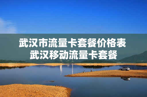 武汉市流量卡套餐价格表 武汉移动流量卡套餐