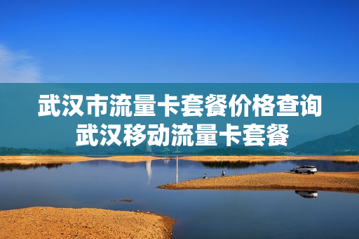 武汉市流量卡套餐价格查询 武汉移动流量卡套餐