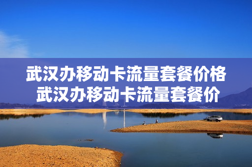 武汉办移动卡流量套餐价格 武汉办移动卡流量套餐价格多少