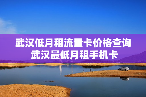 武汉低月租流量卡价格查询 武汉最低月租手机卡