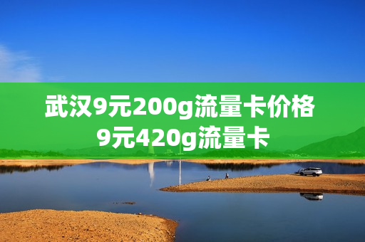武汉9元200g流量卡价格 9元420g流量卡