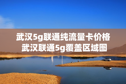 武汉5g联通纯流量卡价格 武汉联通5g覆盖区域图