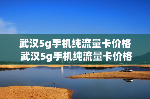 武汉5g手机纯流量卡价格 武汉5g手机纯流量卡价格表