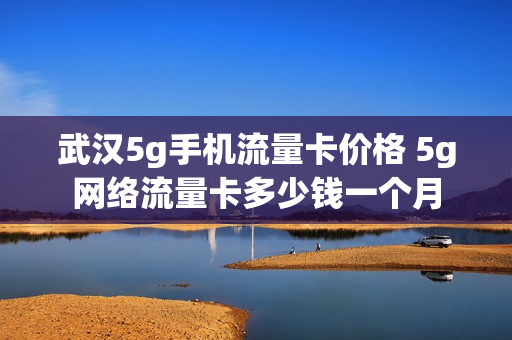 武汉5g手机流量卡价格 5g网络流量卡多少钱一个月