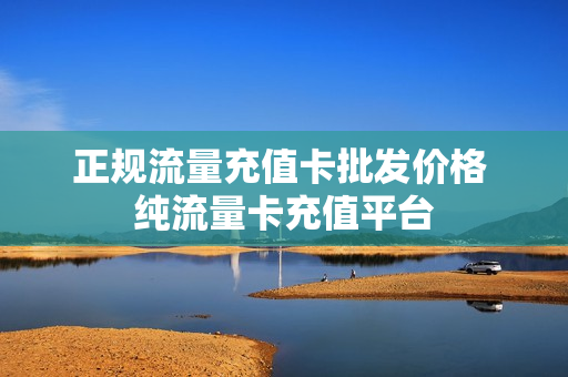 正规流量充值卡批发价格 纯流量卡充值平台