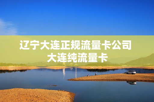 辽宁大连正规流量卡公司 大连纯流量卡