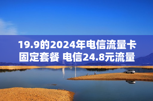 19.9的2024年电信流量卡固定套餐 电信24.8元流量卡