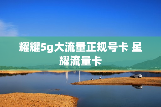 耀耀5g大流量正规号卡 星耀流量卡