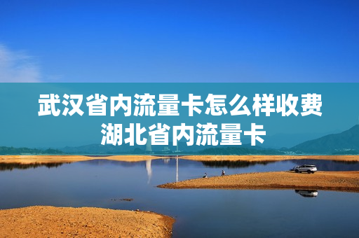 武汉省内流量卡怎么样收费 湖北省内流量卡