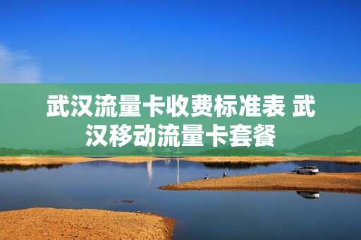 武汉流量卡收费标准表 武汉移动流量卡套餐