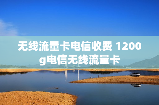 无线流量卡电信收费 1200g电信无线流量卡