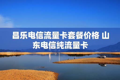 昌乐电信流量卡套餐价格 山东电信纯流量卡