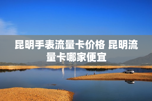 昆明手表流量卡价格 昆明流量卡哪家便宜