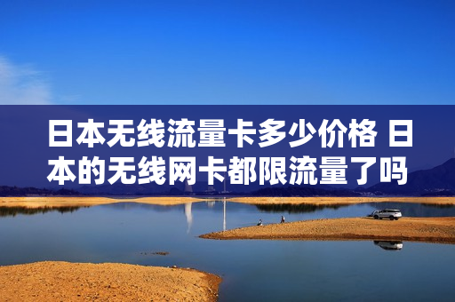 日本无线流量卡多少价格 日本的无线网卡都限流量了吗
