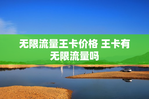 无限流量王卡价格 王卡有无限流量吗