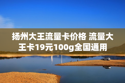 扬州大王流量卡价格 流量大王卡19元100g全国通用