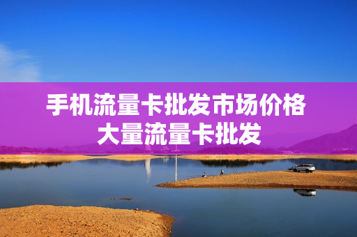 手机流量卡批发市场价格 大量流量卡批发