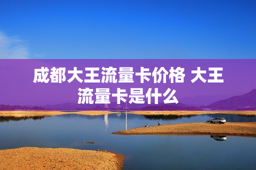 成都大王流量卡价格 大王流量卡是什么