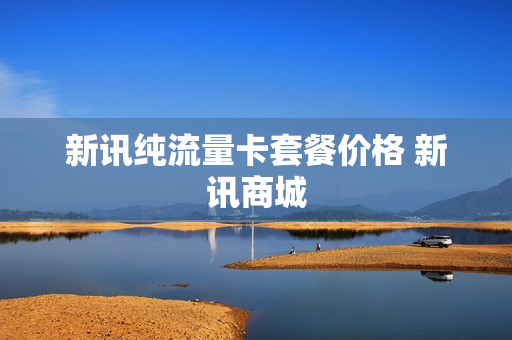 新讯纯流量卡套餐价格 新讯商城