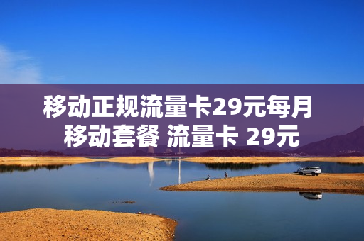移动正规流量卡29元每月 移动套餐 流量卡 29元