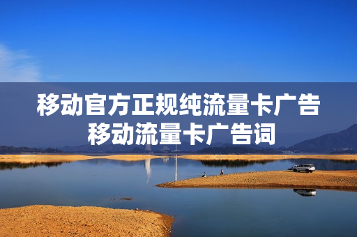 移动官方正规纯流量卡广告 移动流量卡广告词